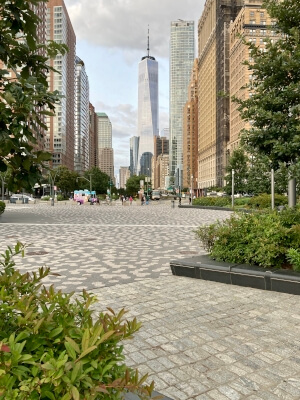 one world trade center as seen from battery park